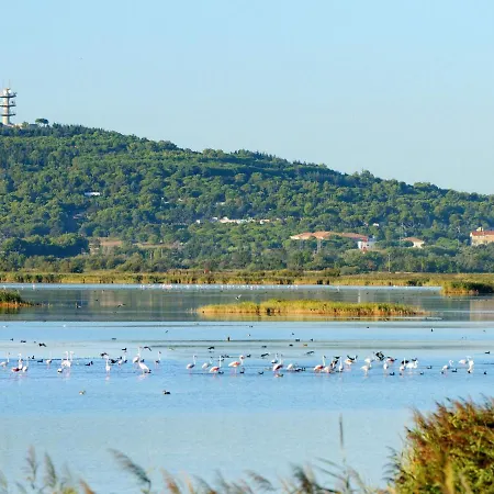 Appartamento Les Terrasses De La Plage-5 By Interhome